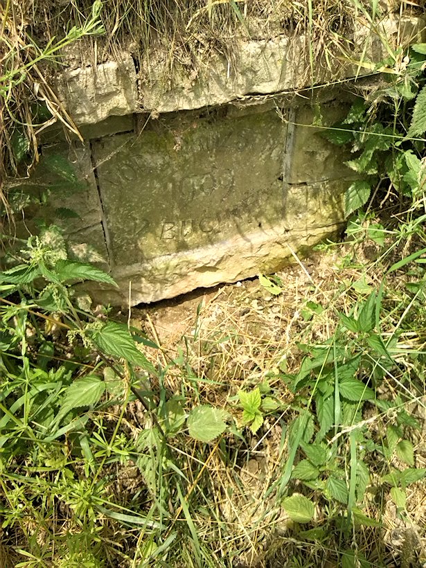 studánka Vodního družstva v Bučině (7005) - červen 2013