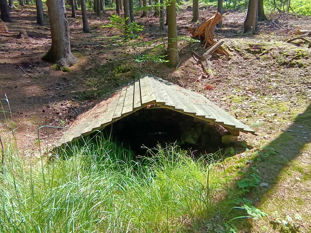 studánka bez jména (7009) - červen 2024
