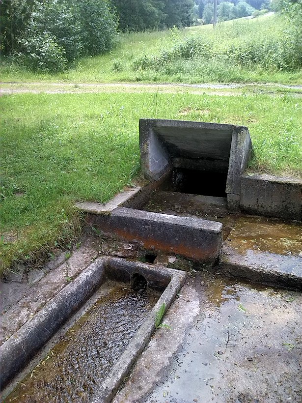 studánka V Dílcích (7013) - červen 2013