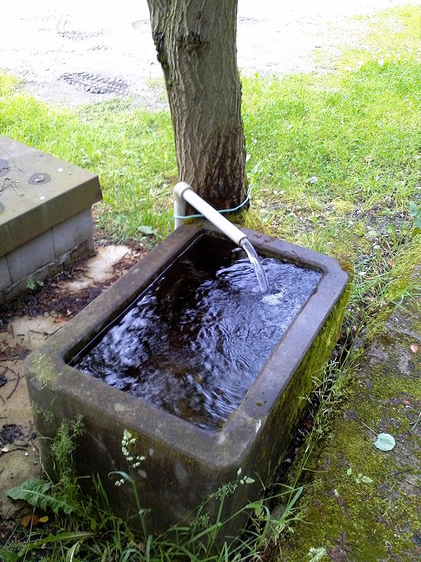 studánka bez jména (7029) - červen 2013