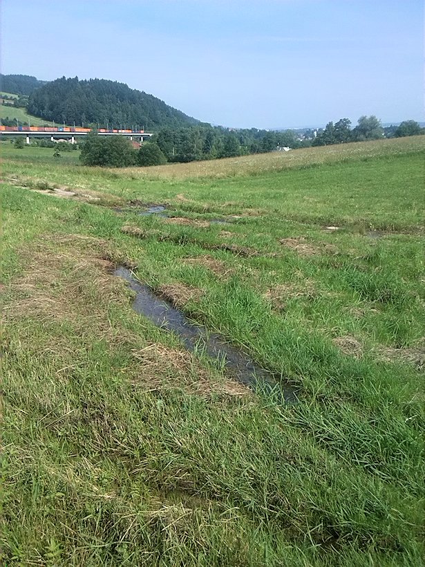 prameniště Za Beranovým mostem (7053) - červenec 2013