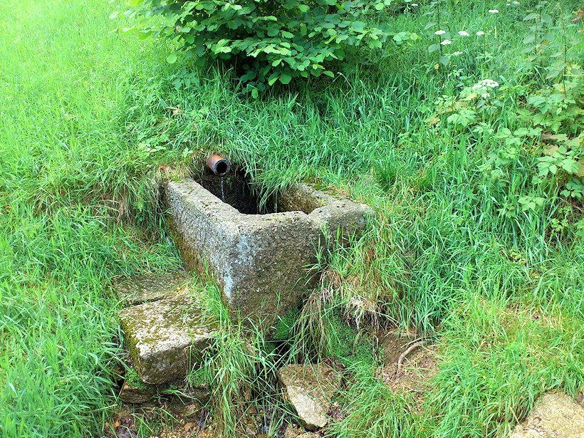 studánka bez jména (7060) - červenec 2013