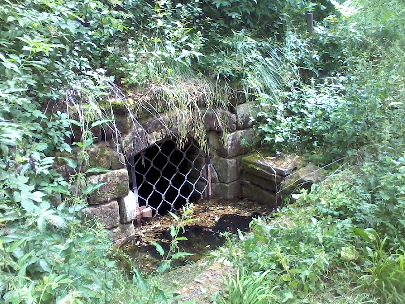 Zimořská studánka (7061) - červenec 2013