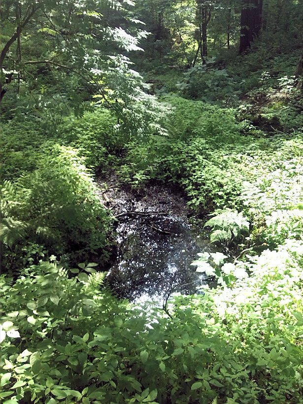 pramen Pod pískovnou (7070) - červenec 2013