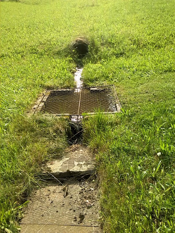 studánka Pod Horním lesem (7072) - červenec 2013