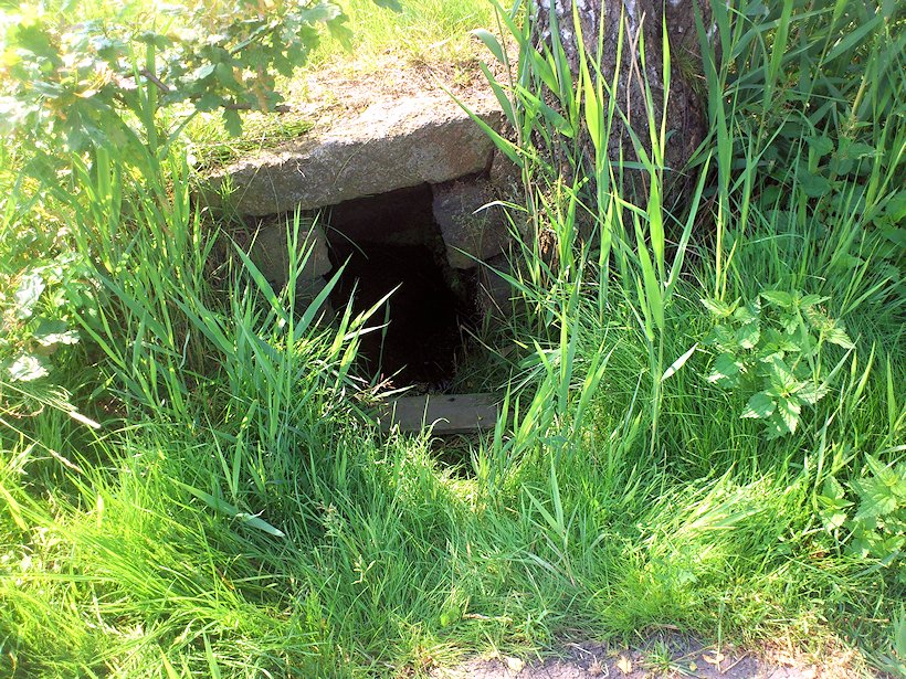 studánka bez jména (7077) - červenec 2013