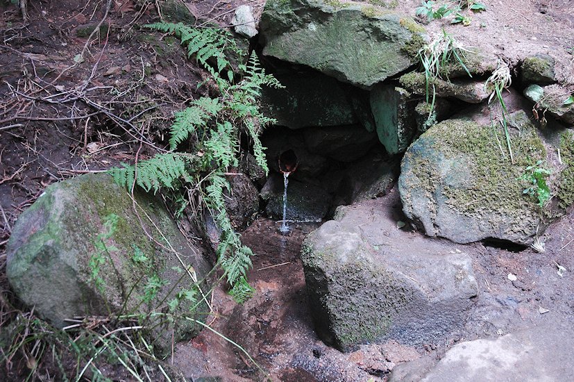 studánka Pod Horkou (7091) - červenec 2013