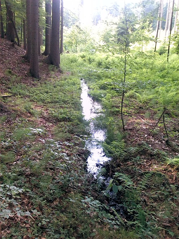 pramen V Názadí (7095) - červenec 2013