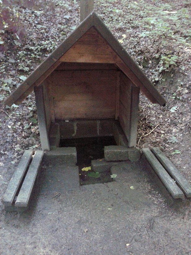 studánka Pod Humprechtem (7119) - červenec 2013