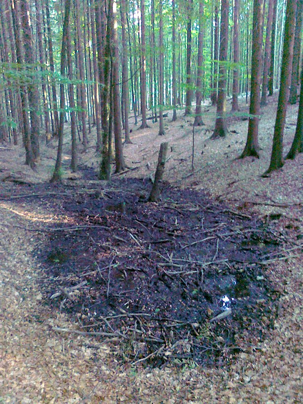 prameniště Na hranicích (7127) - červenec 2013