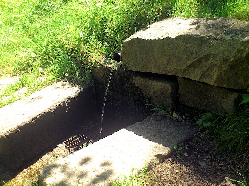 studánka bez jména (7129) - červenec 2013