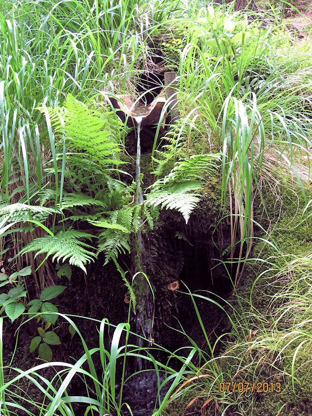 studánka Nad korytem (7131) - červenec 2013