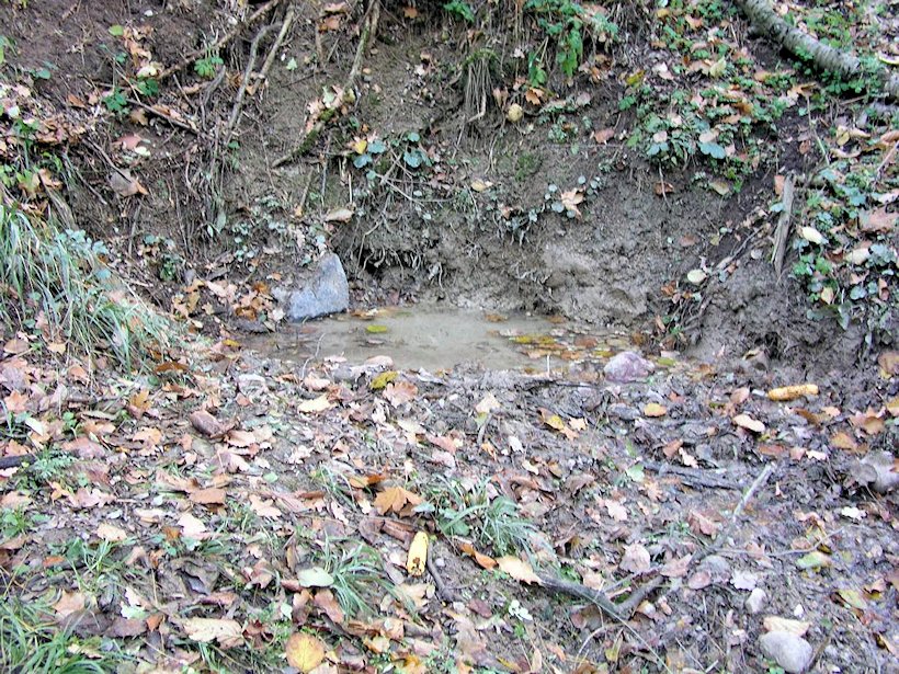 studánka Na horách (7140) - červenec 2013