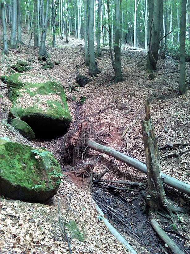 pramen Pod horní cestou (7146) - červenec 2013