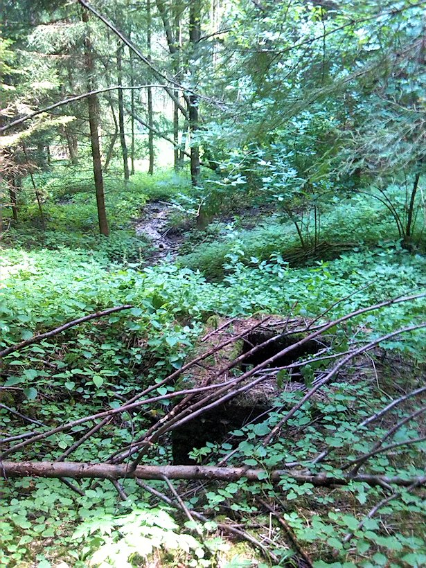 studna Pramen Radiměřského potoka (7149) - červenec 2013