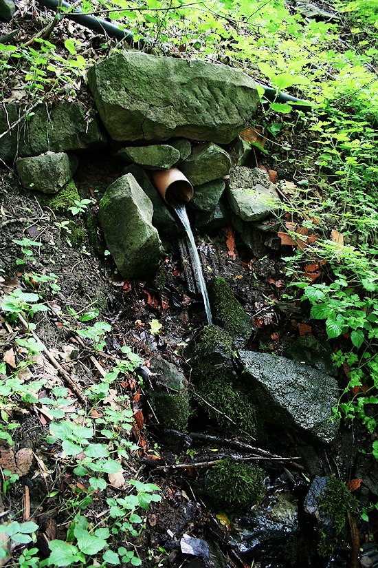 studánka Za Čupkou (7156) - červenec 2013