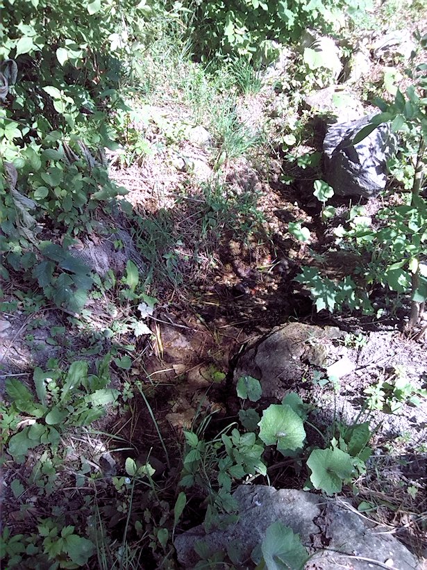 Střítezská studánka (7172) - červenec 2013