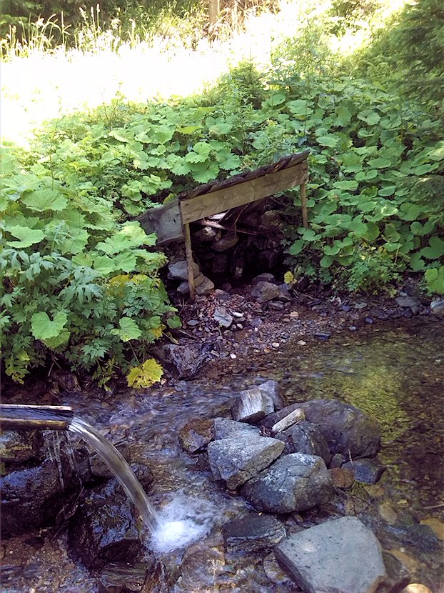 studánka U Nýznerovského srubu (7174) - červenec 2013