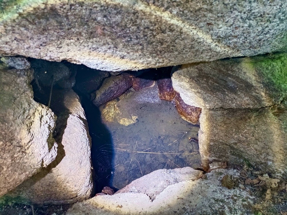 Studánka na Valše (7183) - červenec 2025