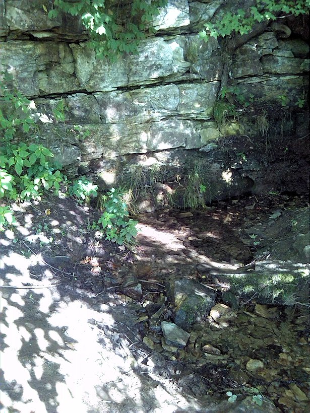 studánka Pod Vsí (7192) - červenec 2013