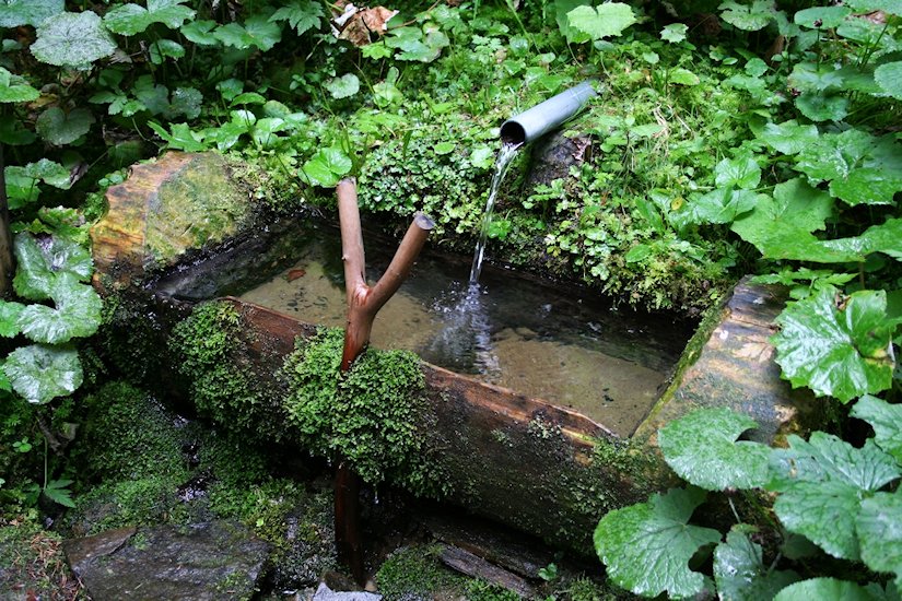studánka V Rozsoší (7220) - květen 2024