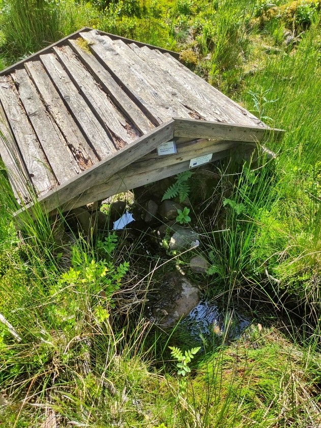 studánka Hrádecký vrch (7240) - červen 2023