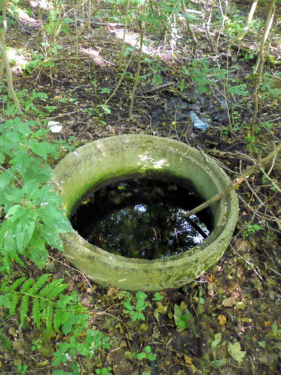 pramen Pod blatenským hřbitovem (7260) - srpen 2013