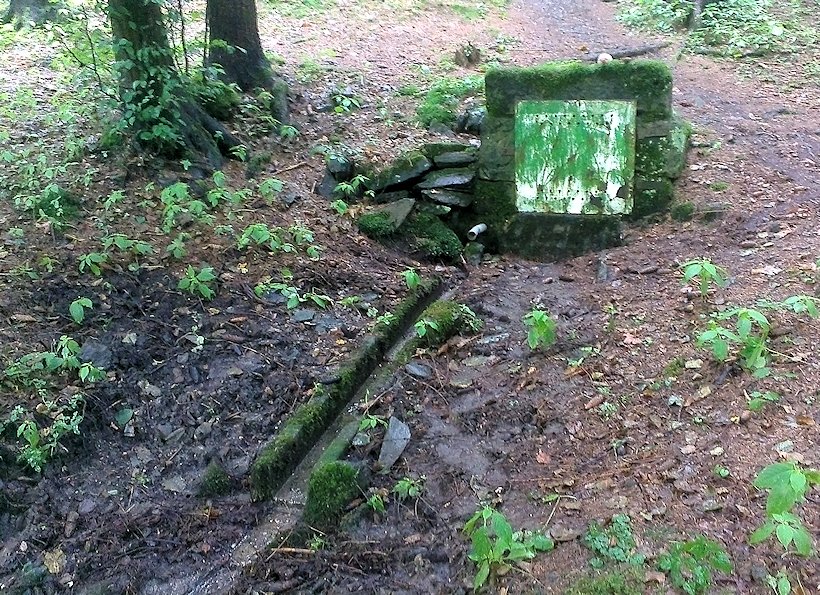 studánka bez jména (7268) - červen 2010