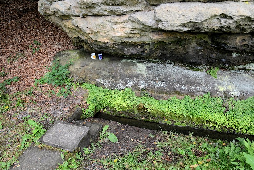 studánka bez jména (7304) - srpen 2013