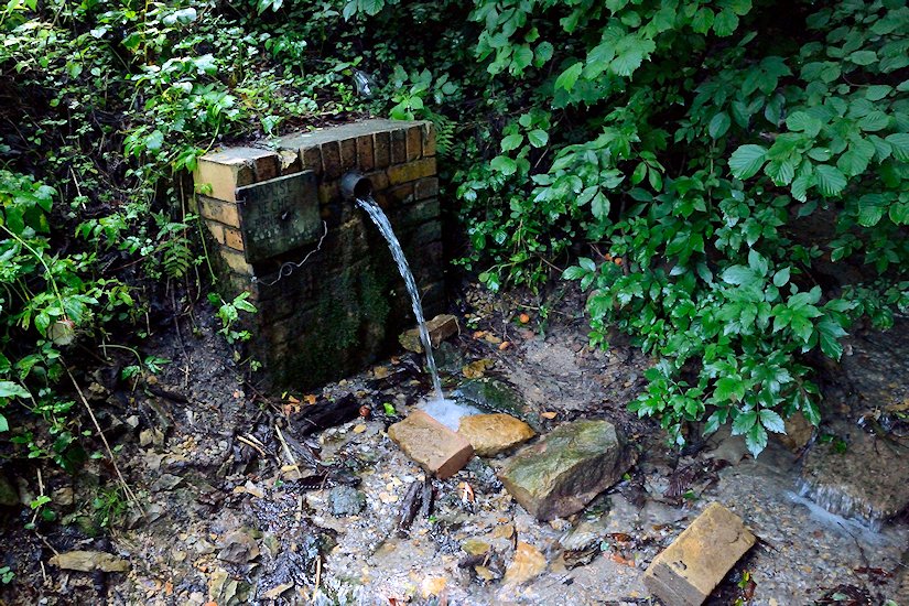 studánka Nad Litochovicemi (7305) - srpen 2013
