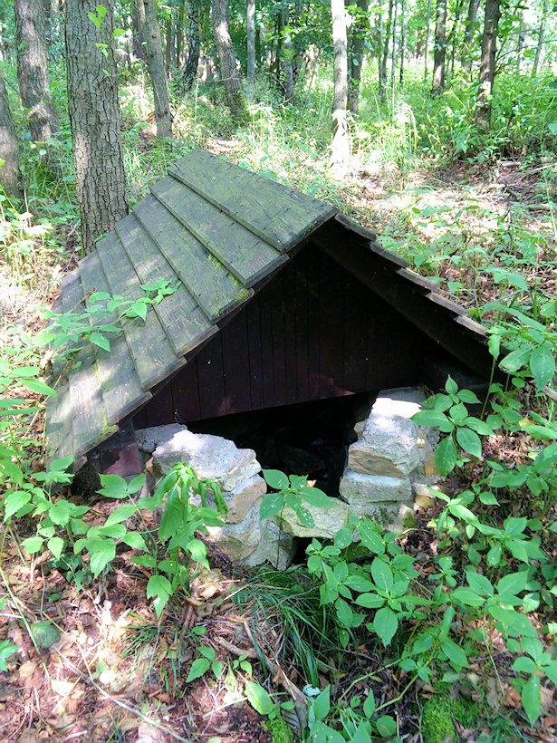 studánka bez jména (7311) - srpen 2013