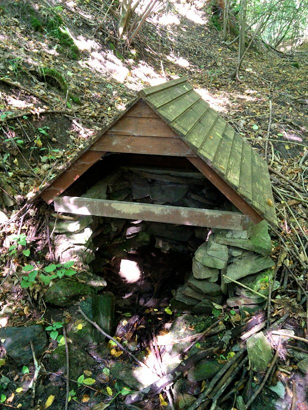 studánka bez jména (7315) - srpen 2013