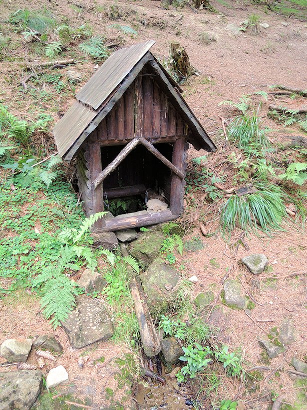 studánka Břeťova (7343) - srpen 2013