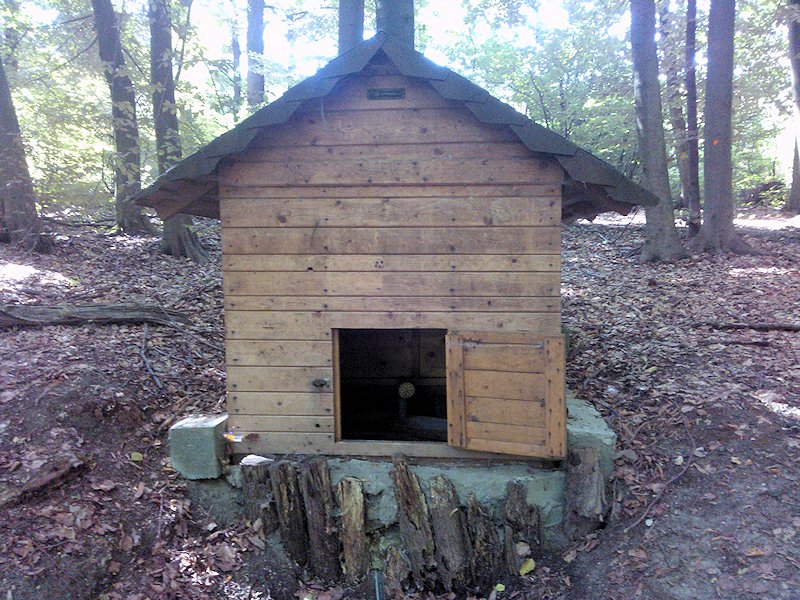 Patřínská studánka (7345) - srpen 2013
