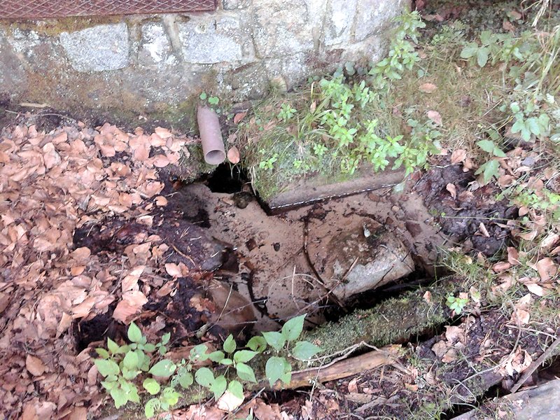 studánka bez jména (7348) - srpen 2013