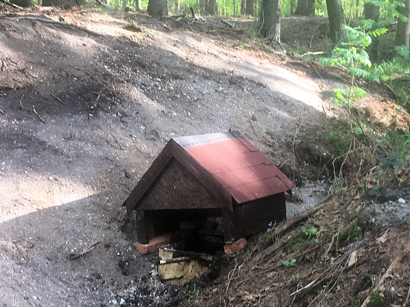 studánka Dřevorubcova (7391) - květen 2021