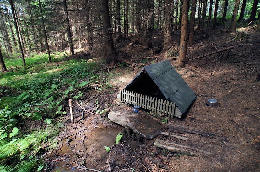 Pařezová studánka (7400) - srpen 2013