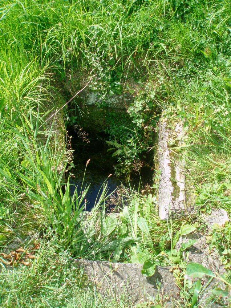 studánka bez jména (7403) - listopad -0001