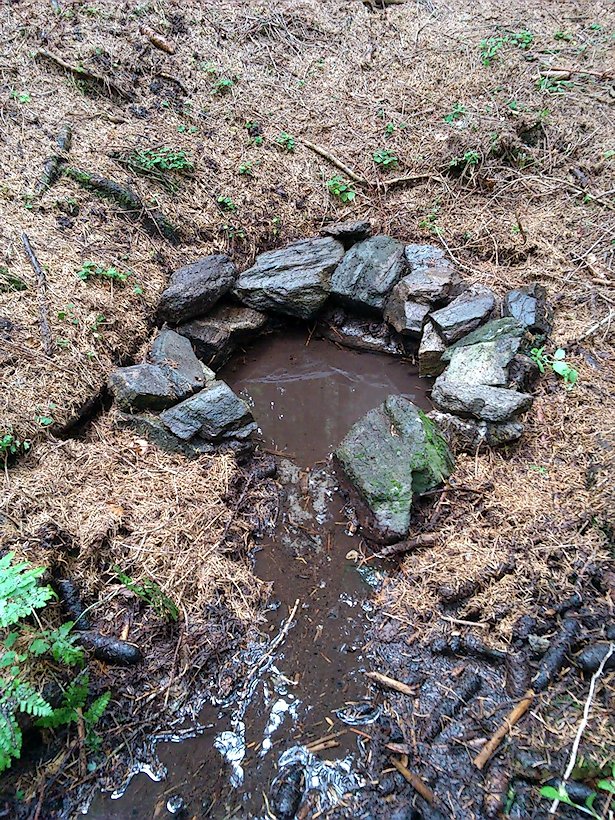 studánka Pod Mařenkou (7406) - srpen 2013