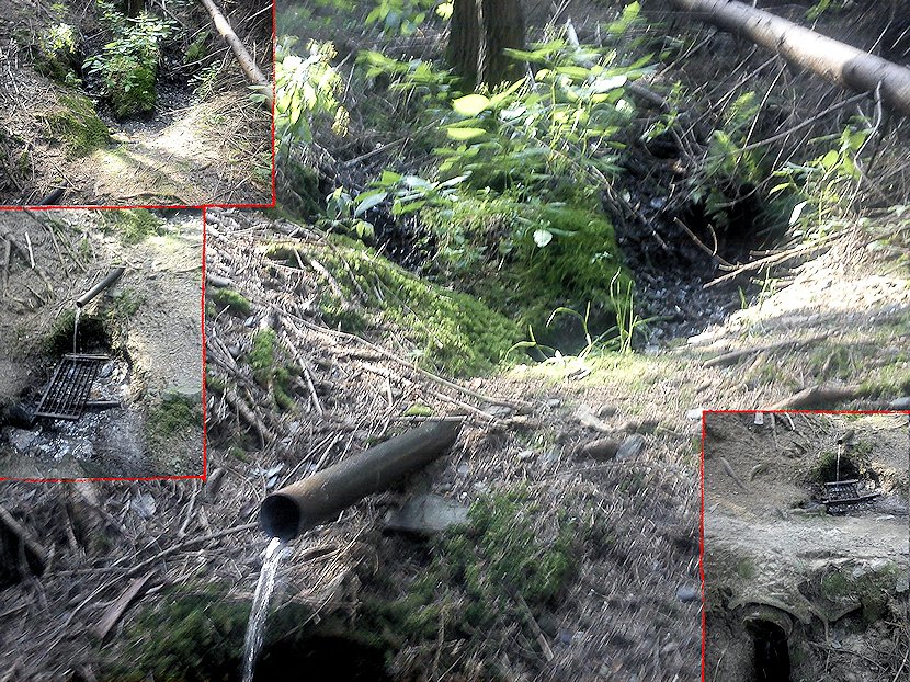 prameniště U Točínského potoka (7451) - září 2013