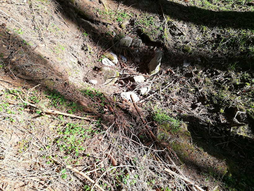Studánka v Plánivách (7454) - květen 2020