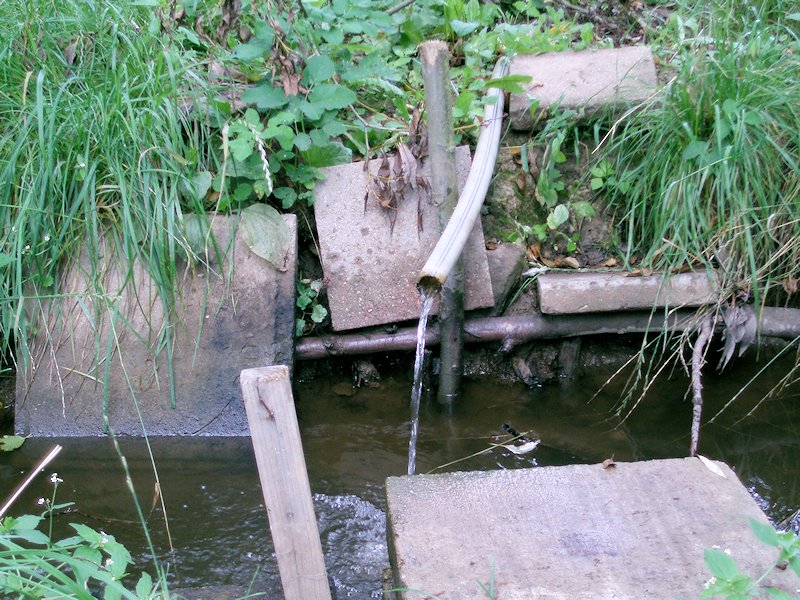 studánka bez jména (7463) - září 2013