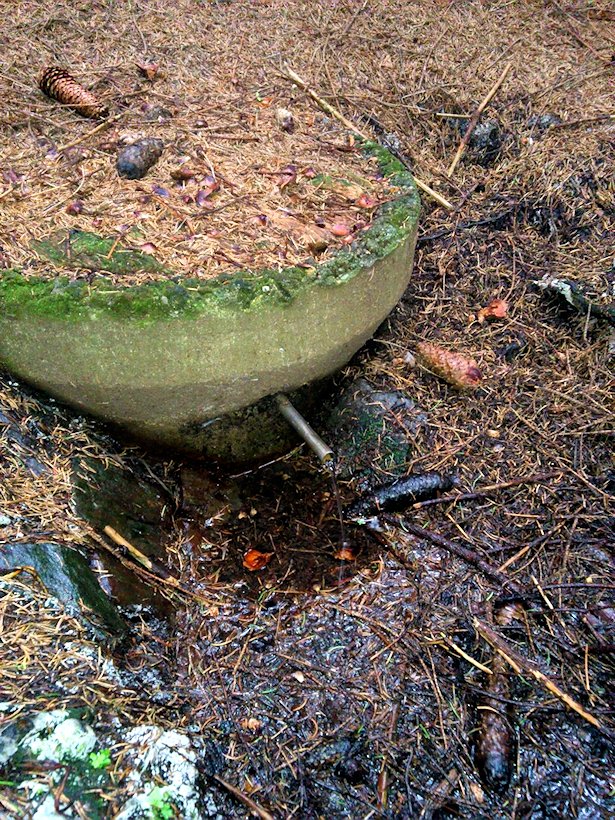 studánka Pod Zadní horou (7493) - září 2013