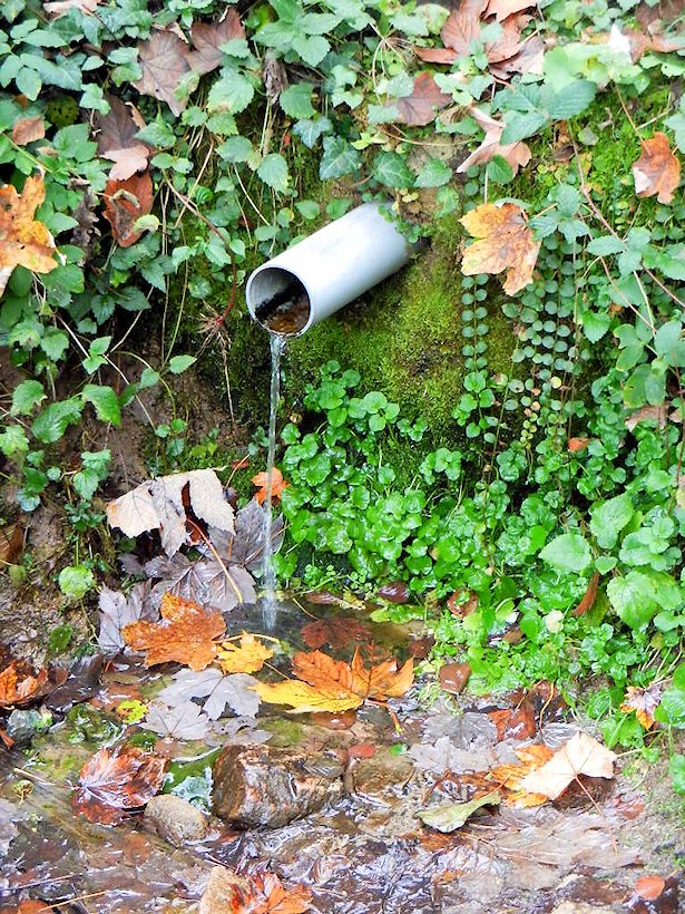 studánka bez jména (7496) - září 2013