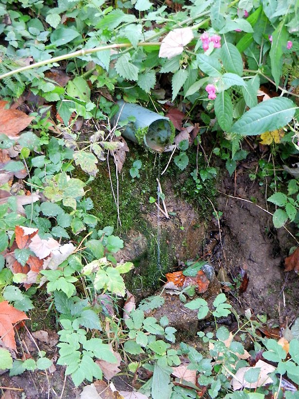 studánka bez jména (7497) - září 2013