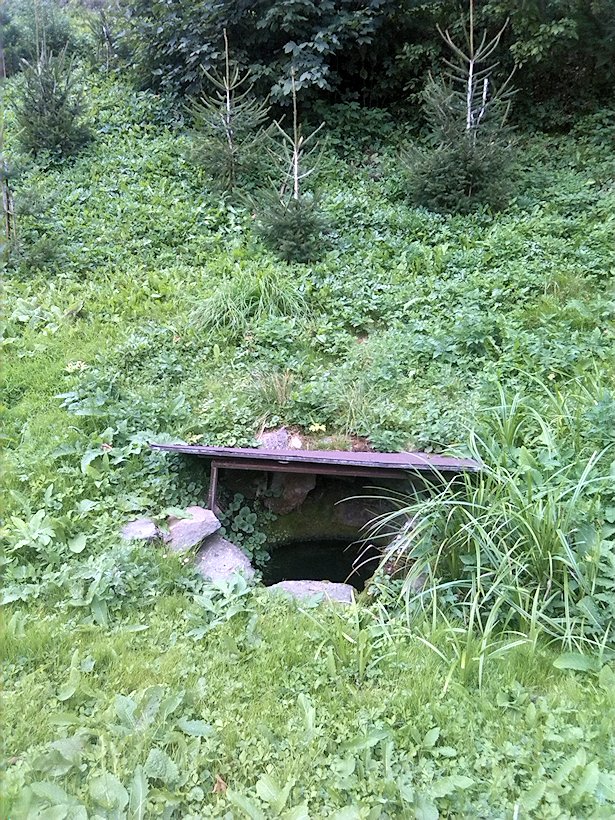 studánka Na dolním konci (7501) - září 2013