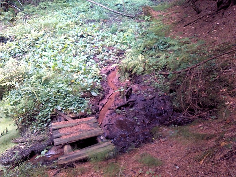 studánka Za peklem (7504) - září 2013
