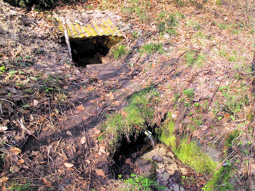 pramen U Černé louže (7522) - září 2013