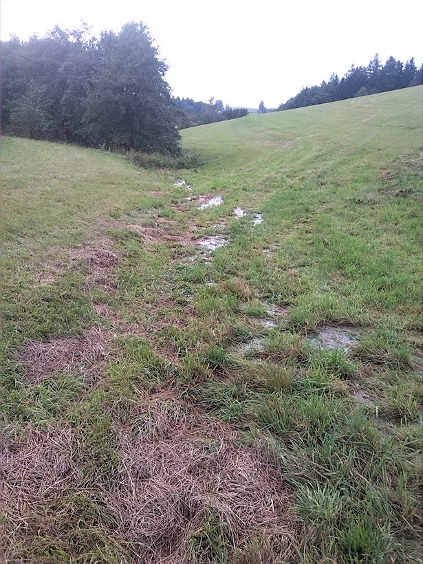 prameniště Nad Zlomem (7534) - září 2013