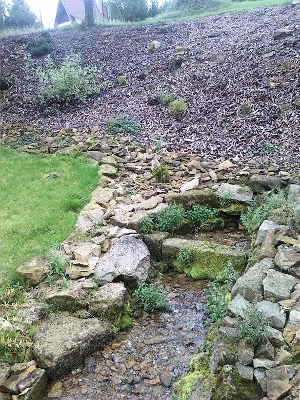 studánka Ve Vísce (7544) - září 2013